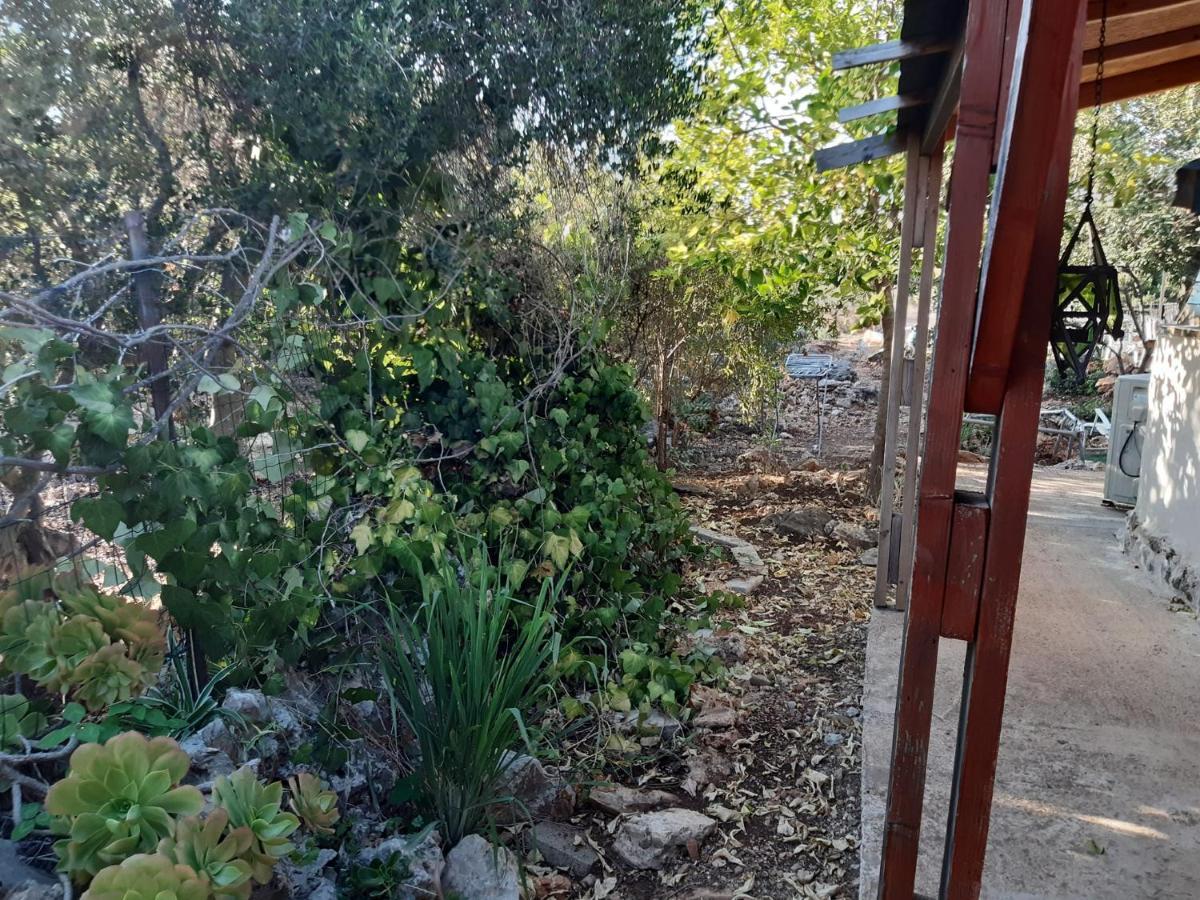 בקתת עץ בחורש במנות - דום גיאודזי - Wooden Cabin In Manot Exteriér fotografie