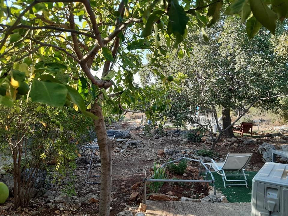 בקתת עץ בחורש במנות - דום גיאודזי - Wooden Cabin In Manot Exteriér fotografie