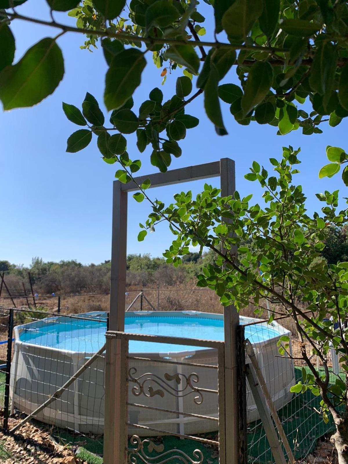 בקתת עץ בחורש במנות - דום גיאודזי - Wooden Cabin In Manot Exteriér fotografie